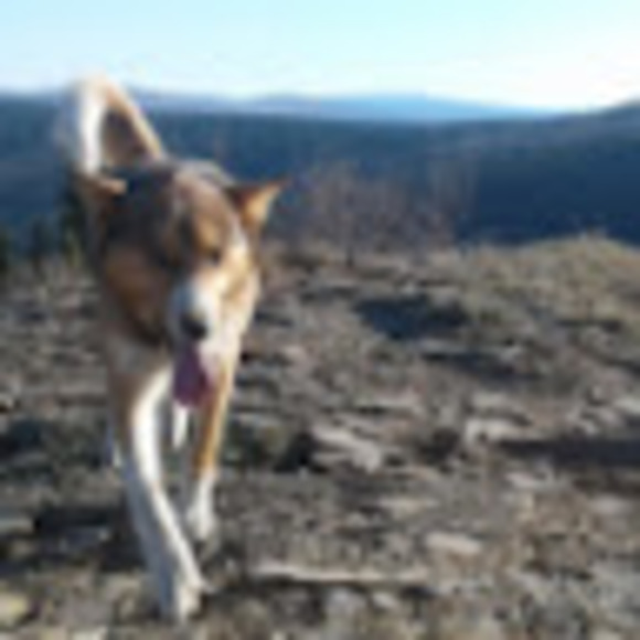 Meet your Posher, Raelyn - Picture 1 of 1